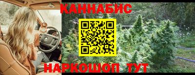 apvp Лесосибирск