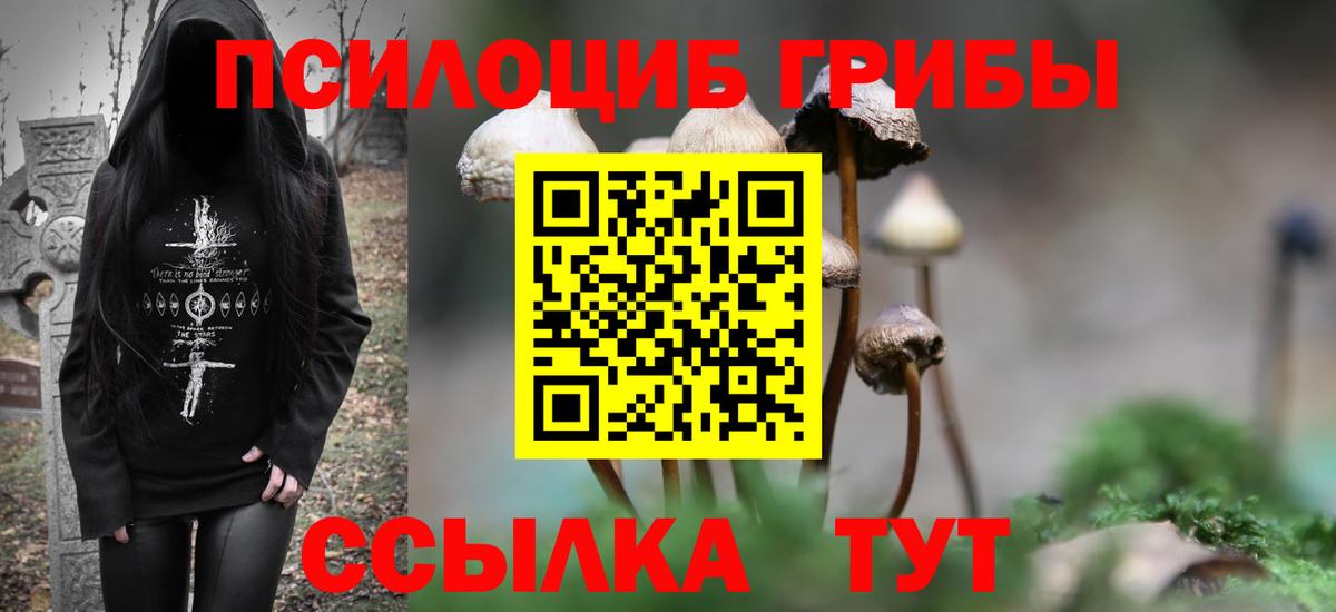Алатырь  сколько стоит  Вход с VPN  Галлюциногенные грибы Psilocybe  Галлюциногенные грибы Cubensis 